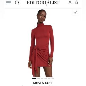 Rosewood/Red Long-Sleeve Cinq a Sept mini Dress. Mock turtleneck.  Back zip.